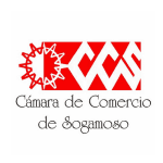 camarasogamoso